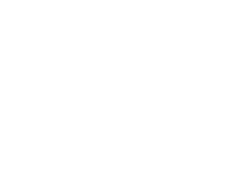 GEI Home Service